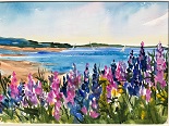 Lupines in the Lee by Marion Smith